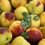 rau-qua-trung-quoc-do-ve-viet-nam-621-1